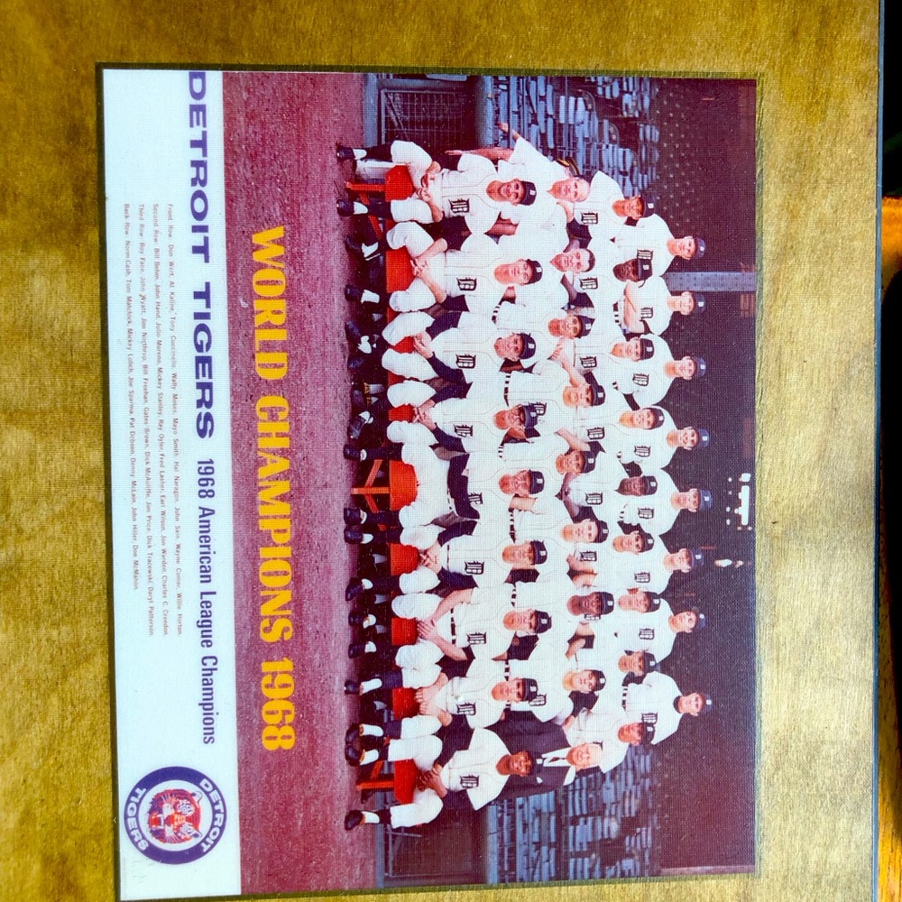 Baseball memorabilia Detroit Tigers Team Photo, 1000 baseball cards, Field model